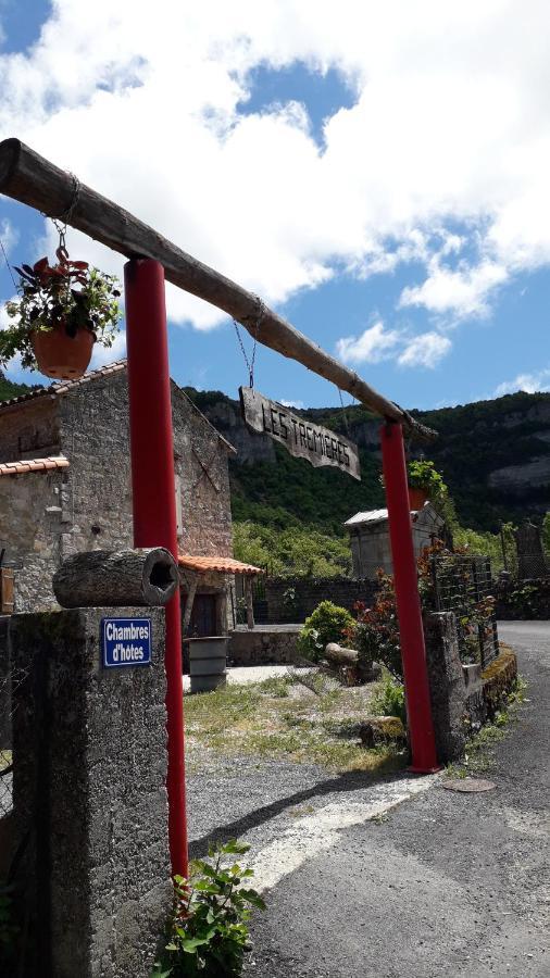 Les Tremieres Acomodação com café da manhã Saint-Paul-des-Fonts Exterior foto