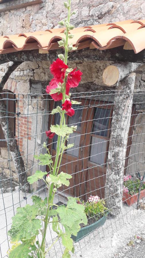 Les Tremieres Acomodação com café da manhã Saint-Paul-des-Fonts Exterior foto
